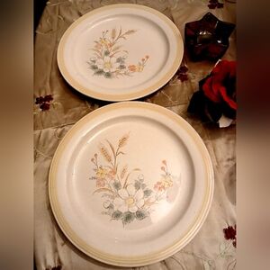 Two Vintage The Fashion Collection Vista Stoneware Plates